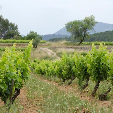La Maison De Campagne Carces ภายนอก รูปภาพ