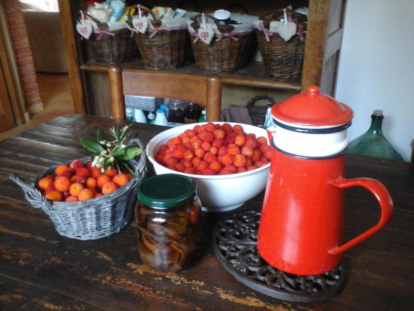 La Maison De Campagne Carces ภายนอก รูปภาพ