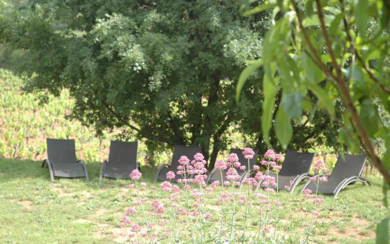 La Maison De Campagne Carces ภายนอก รูปภาพ